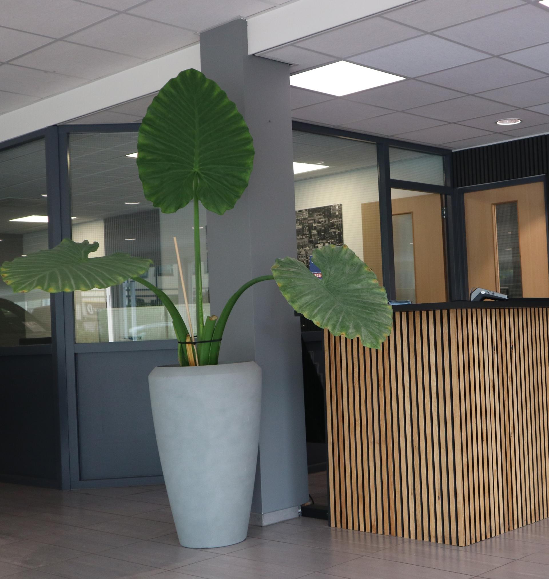 Sub Page Listing Image