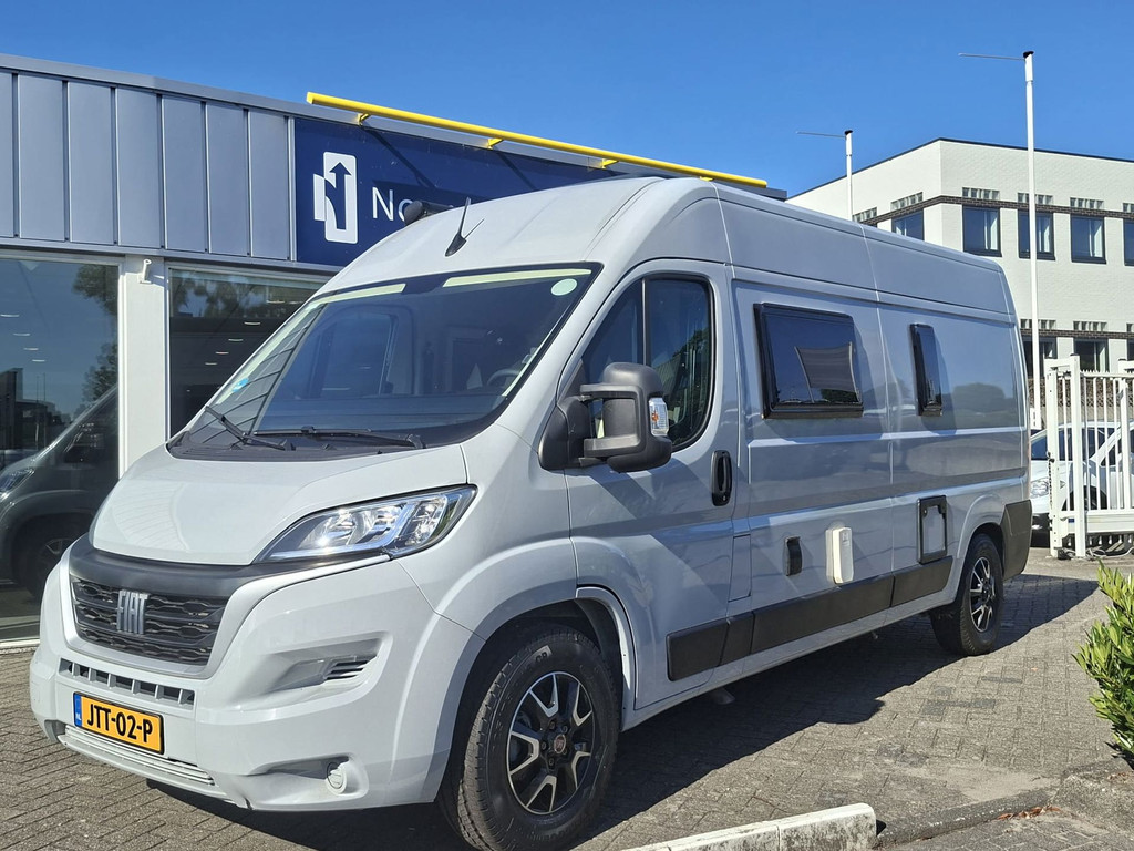 51621081