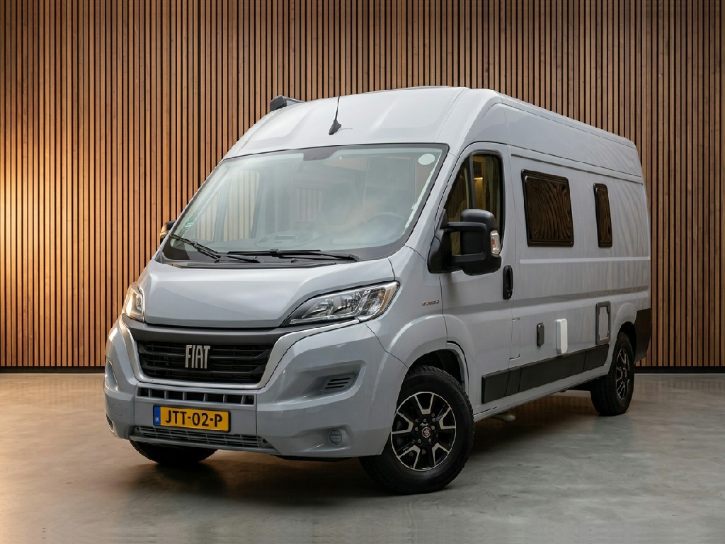 51621081